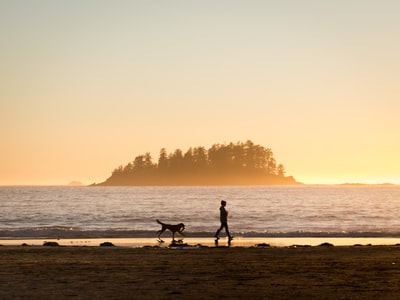 日落时，在岛附近海边散步的狗前面的人的剪影